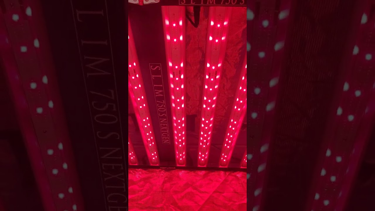 New 750S NextGen V2 Just released - 3,168 LEDs - 3 way Dimmability - Spectrum Control - Auto sunrise