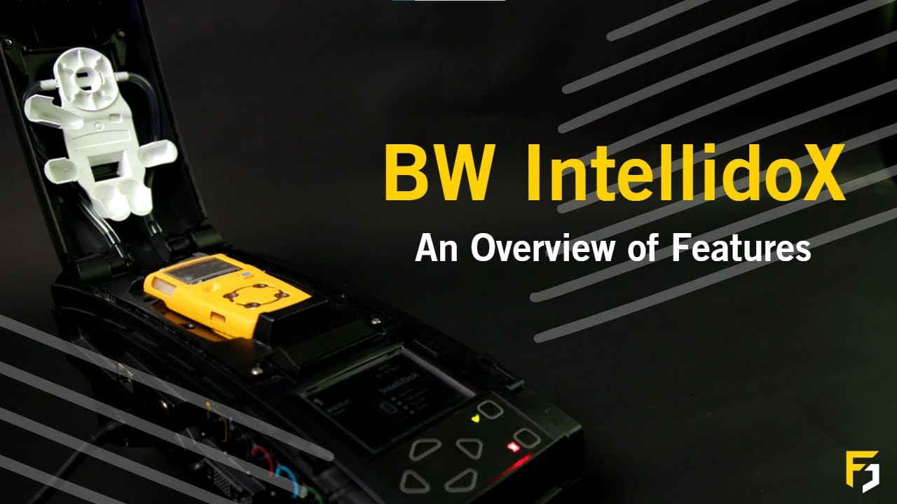 BW IntellidoX Docking Station &ndash; An Overview of Features
