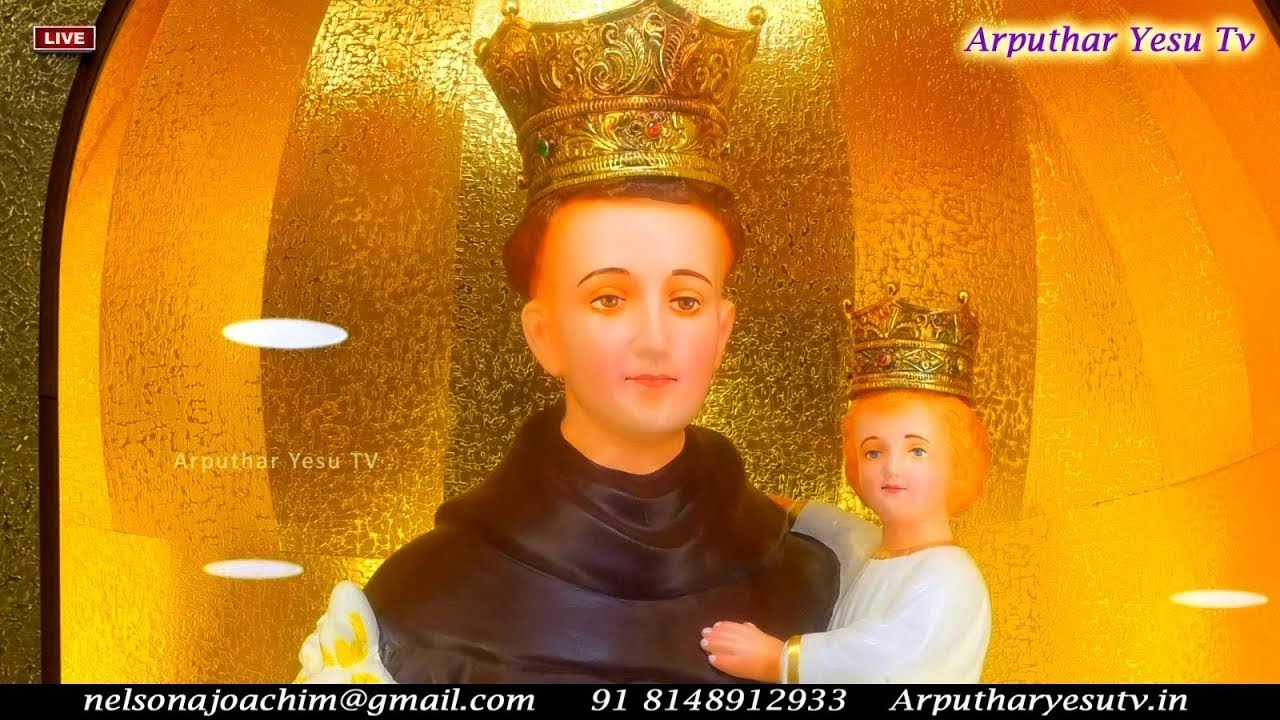 🔴🅻🅸🆅🅴 3rd Feb 2026 First Tuesday 6PM Special Mass and Adoration | St. Antony's Shrine, Avadi