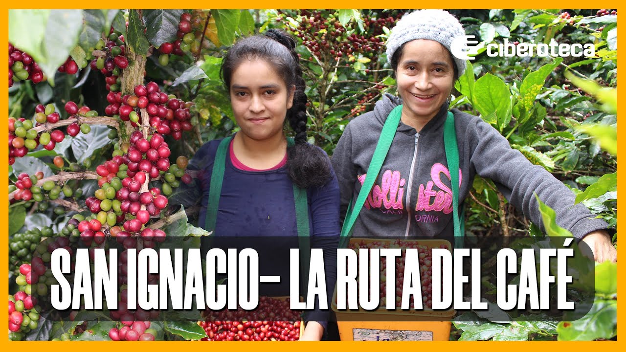 San Ignacio la ruta del café | Ciberoteca