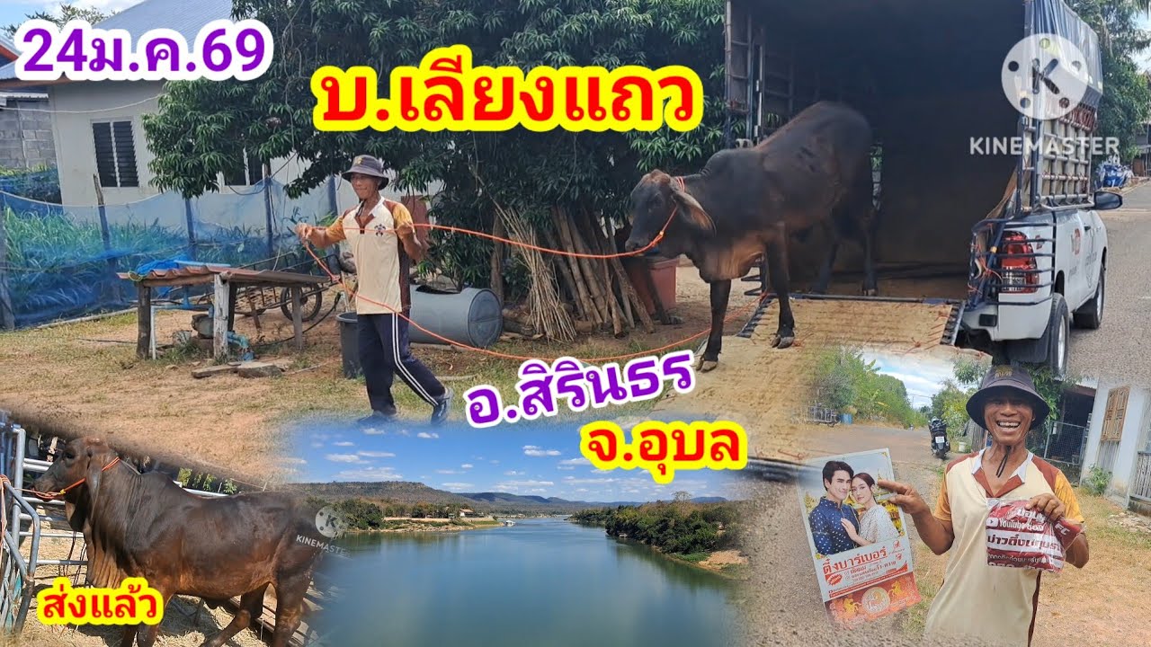 ส่ง บ.เลี่ยงแถว ต.นิคม อ.สิรินธร จ.อุบล/24ม.ค.69