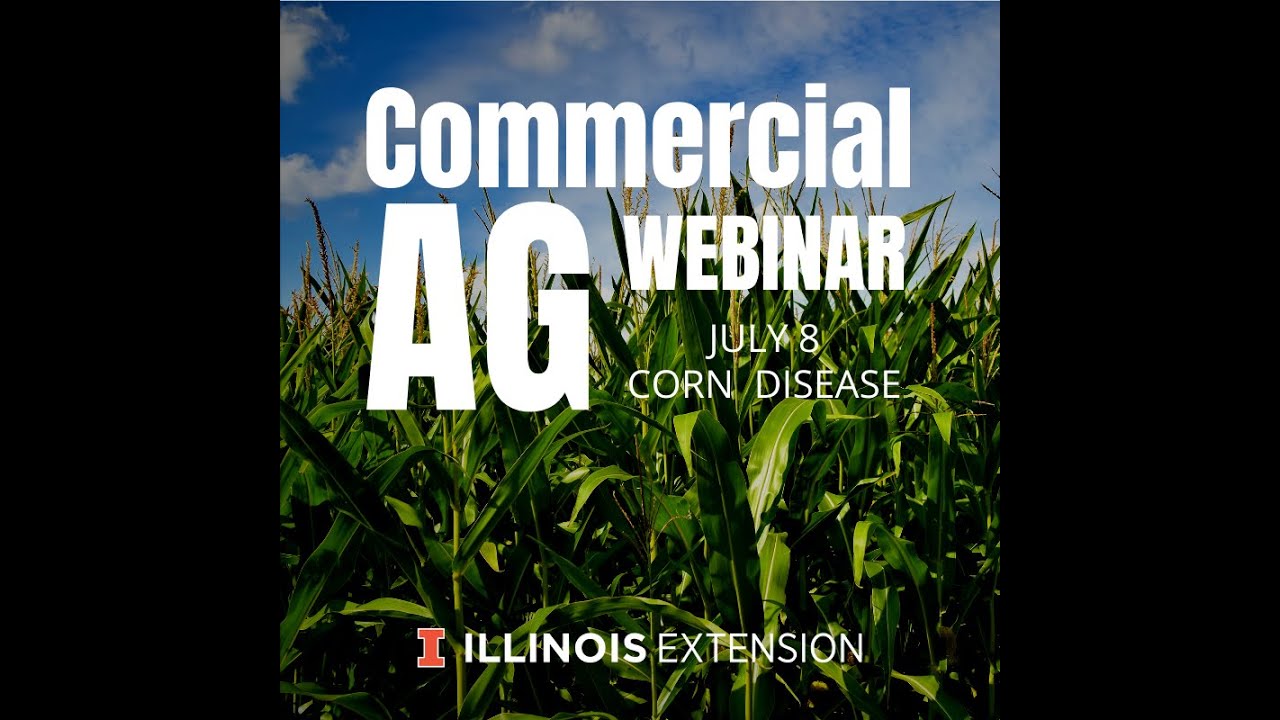 Corn Stalk Rot Diseases and Management 7.8.20 Dr. Nathan Kleczewski, U of I Comm. Ag Webinar Series