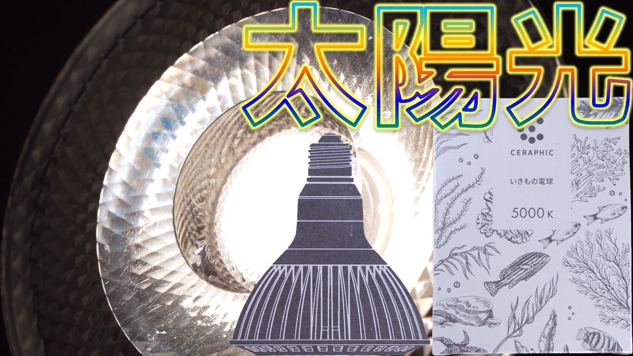 【LED照明】6500Kのセラフィック止めます。5000Kがやってきた！京セラ CERAPHICいきもの電球【ふぶきテトラ】
