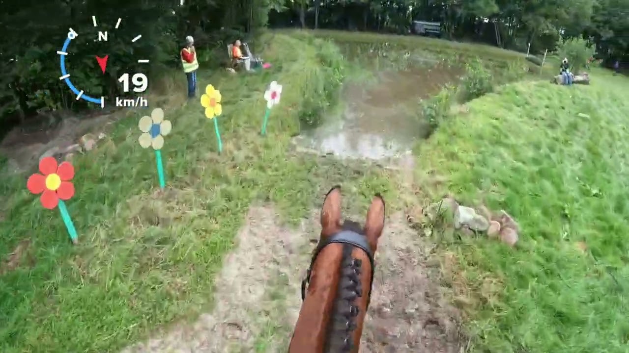 SGW Coevorden, L paarden 2023