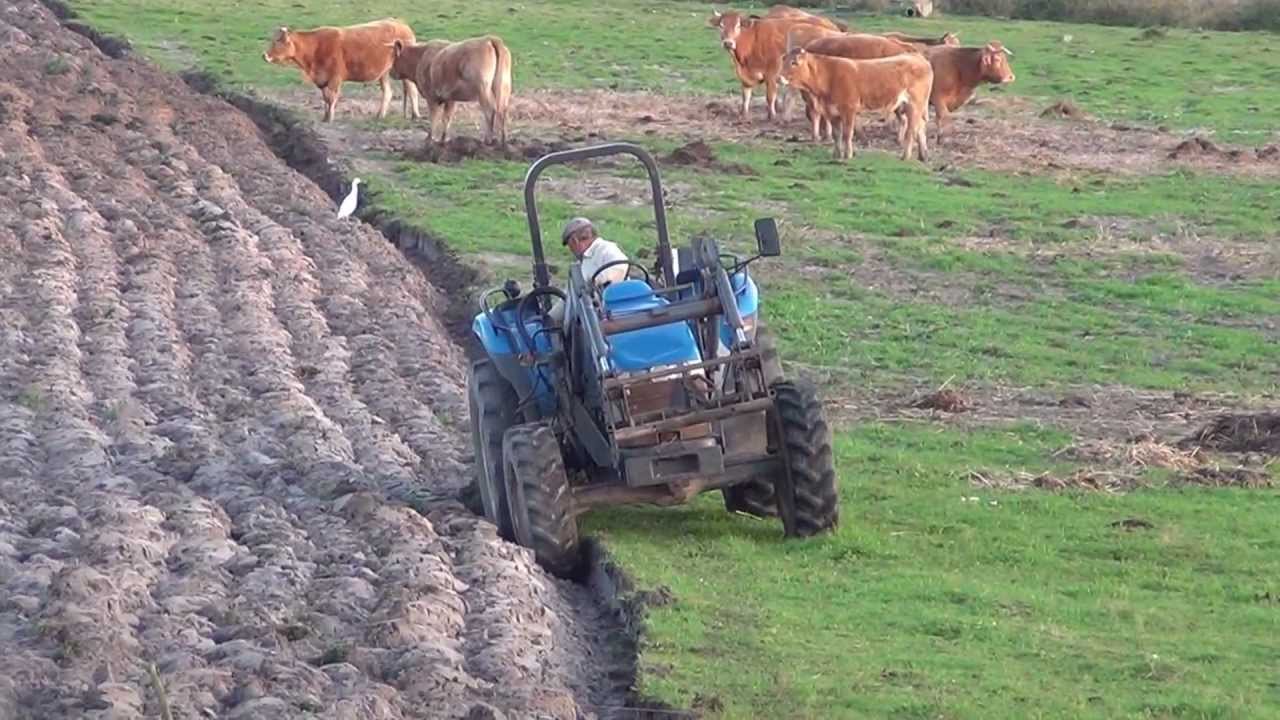 Tractor New Holland TD80 D with front end loader ploughing / plowing Trator a lavrar