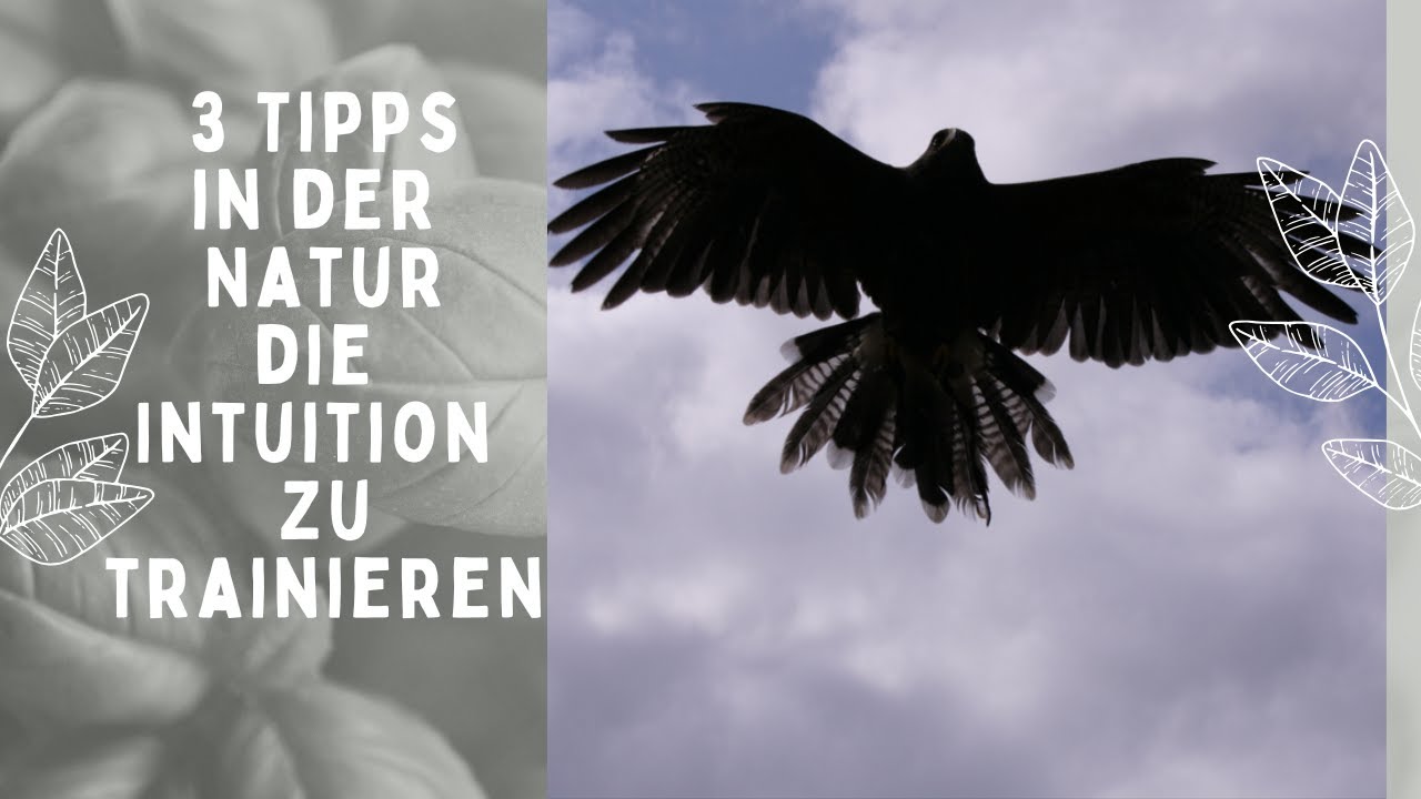 Wahrnehmung: Mit diesen 3 Tipps kannst Du die Intuition in der Natur trainieren!
