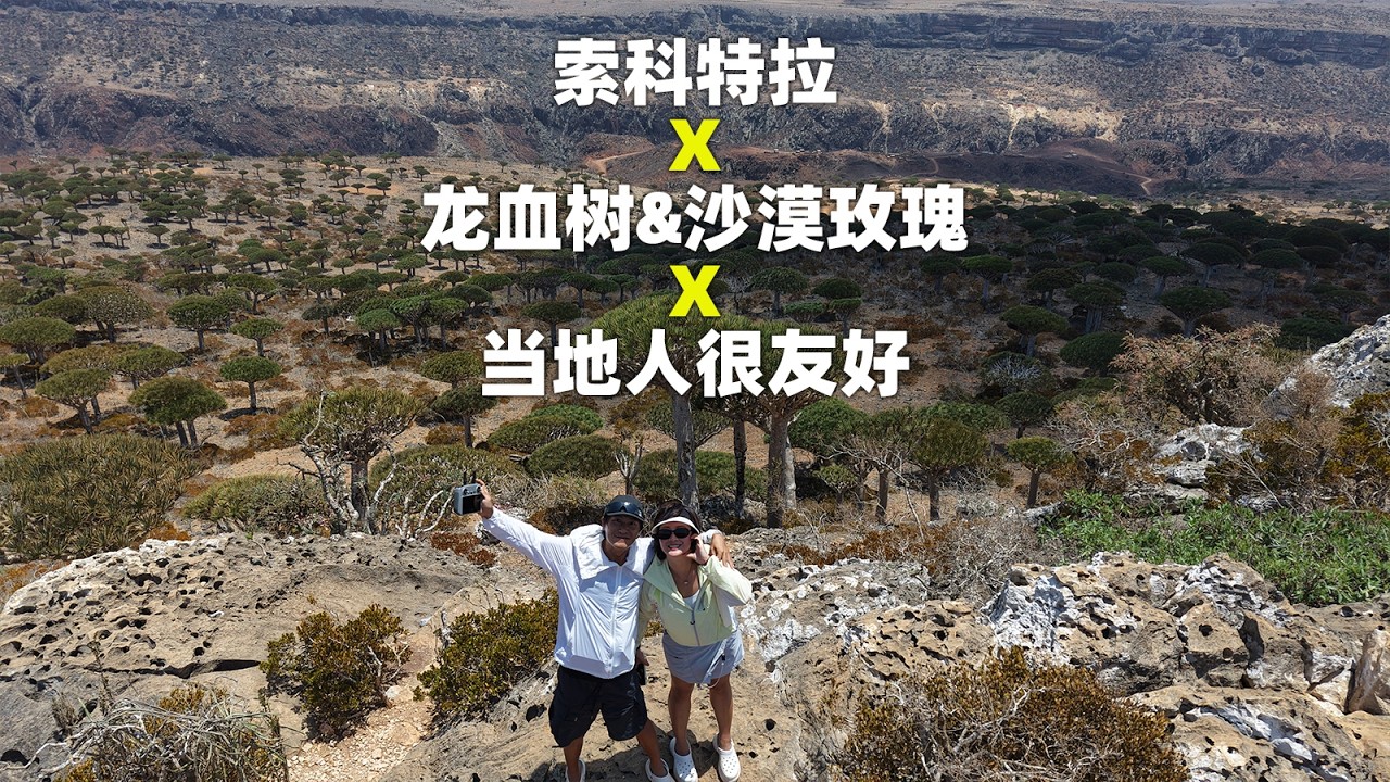 揭开神秘的索科特拉岛 X 龙血树&沙漠玫瑰  X 友好的当地