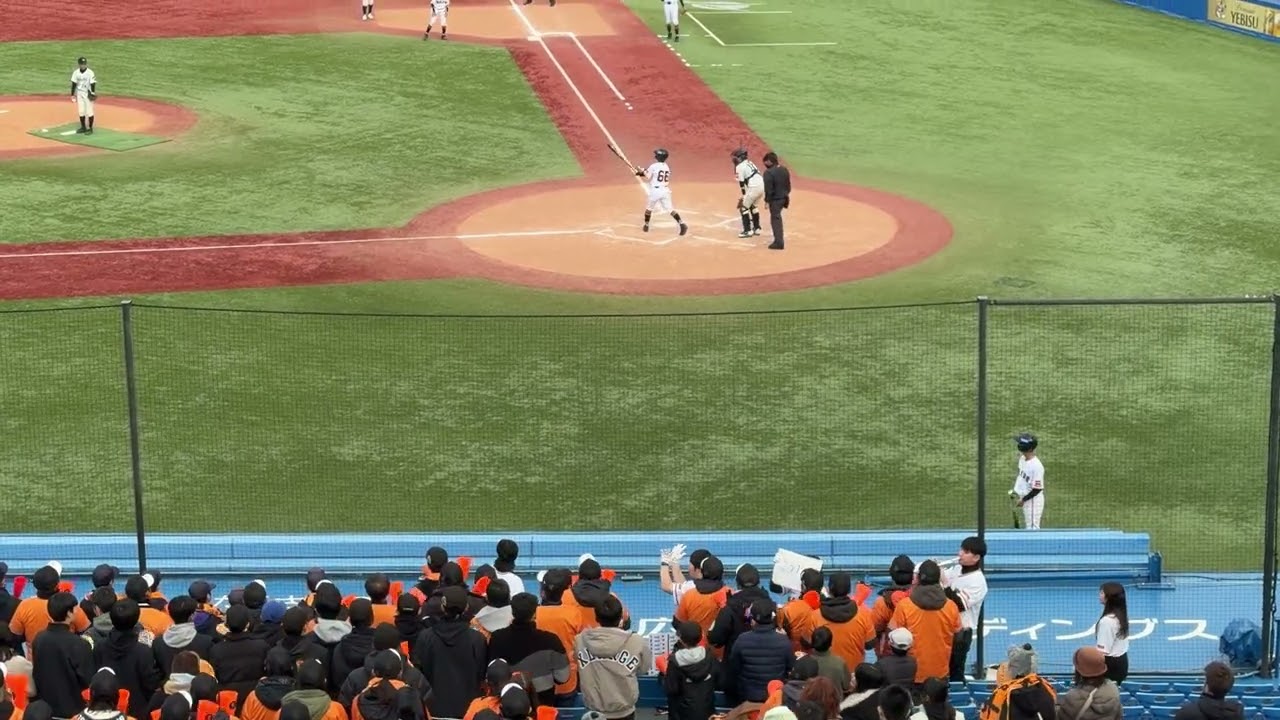 【NPB Jr.トーナメント】巨人チャンステーマファイター/2025/12/27/四国アイランドJr.戦