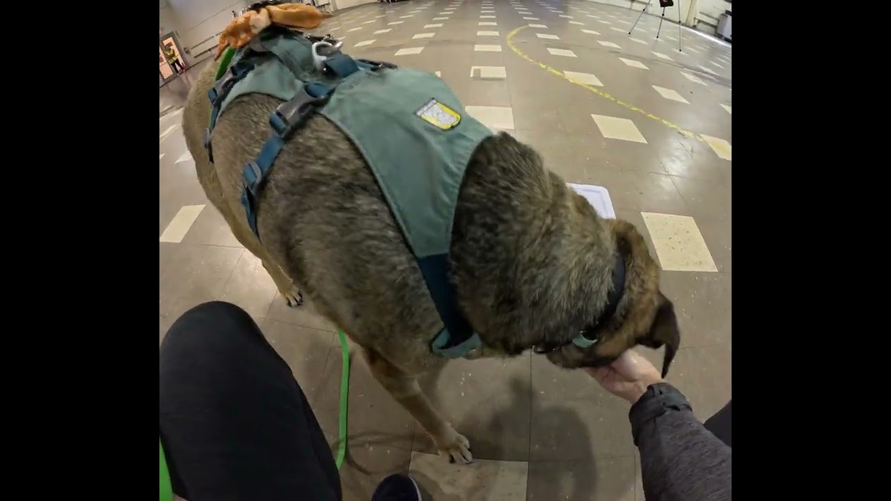 NW3 - Containers 1 - May's Landing, NJ