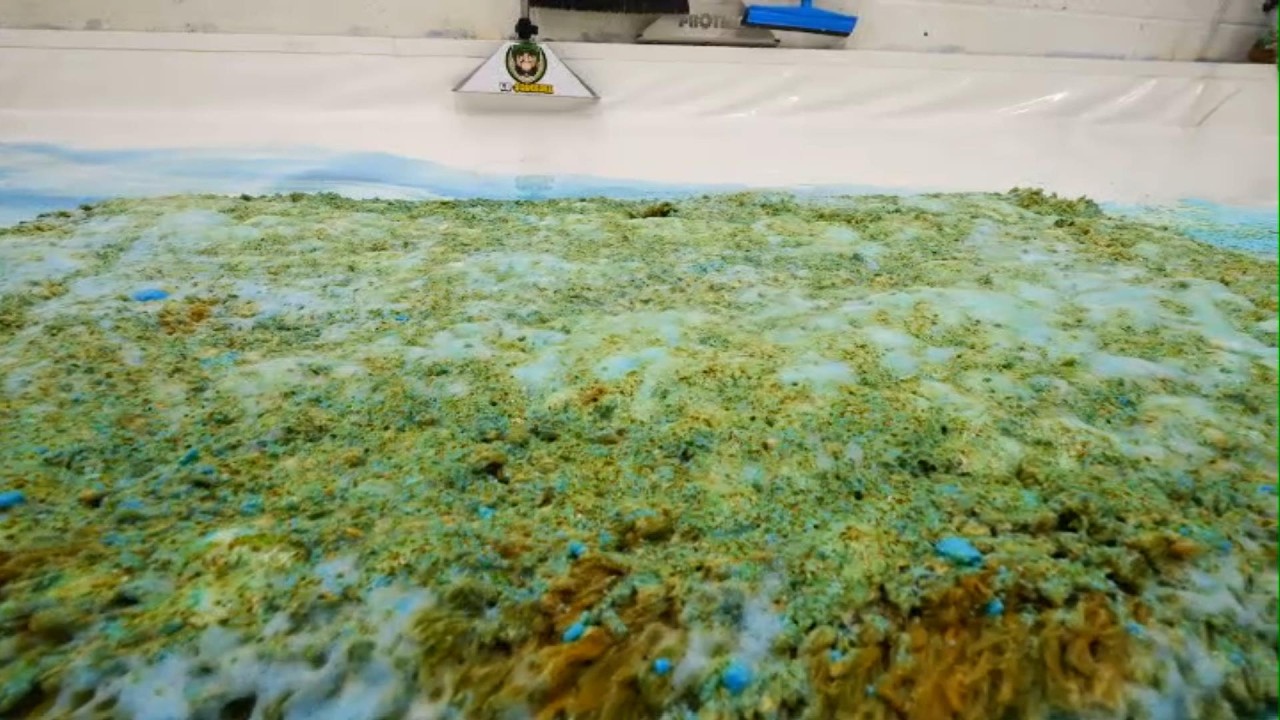 CAKED in FILTH – Watch Explosive Foam Do Its MAGIC! Satisfying ASMR Carpet Cleaning.