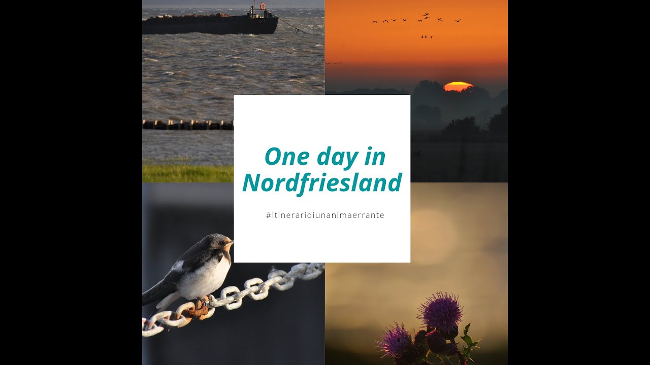 DocuErrante - One day in Nordfriesland