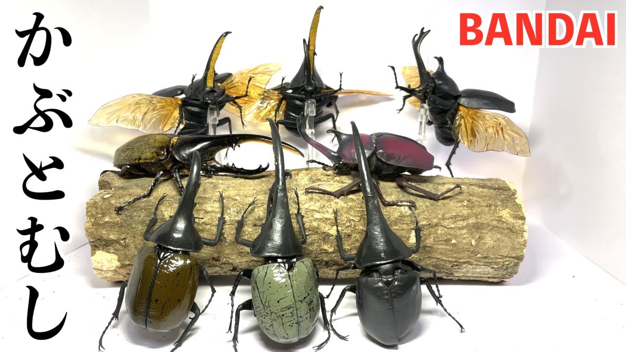 最新のカブトムシのガチャがスゴ過ぎる件...[BANDAI/いきもの大図鑑かぶとむし]