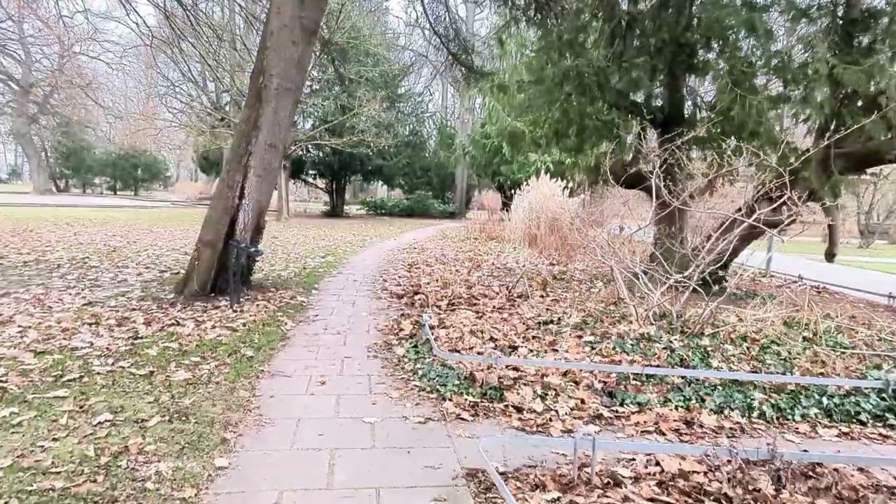Walking 2024 Januar in Fürth Stadtpark