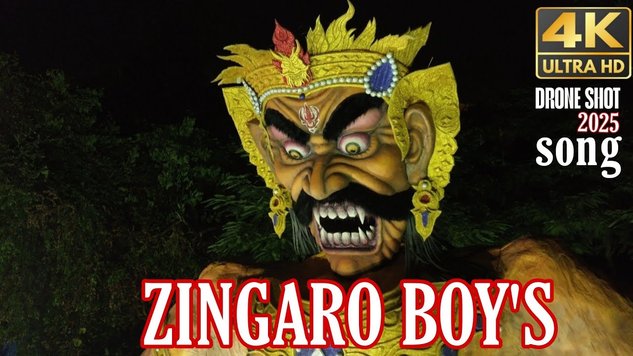 ZINGARO BOY'S  | SONG AND DRONE SHOT | #thegaonboy #narkasuringoa 