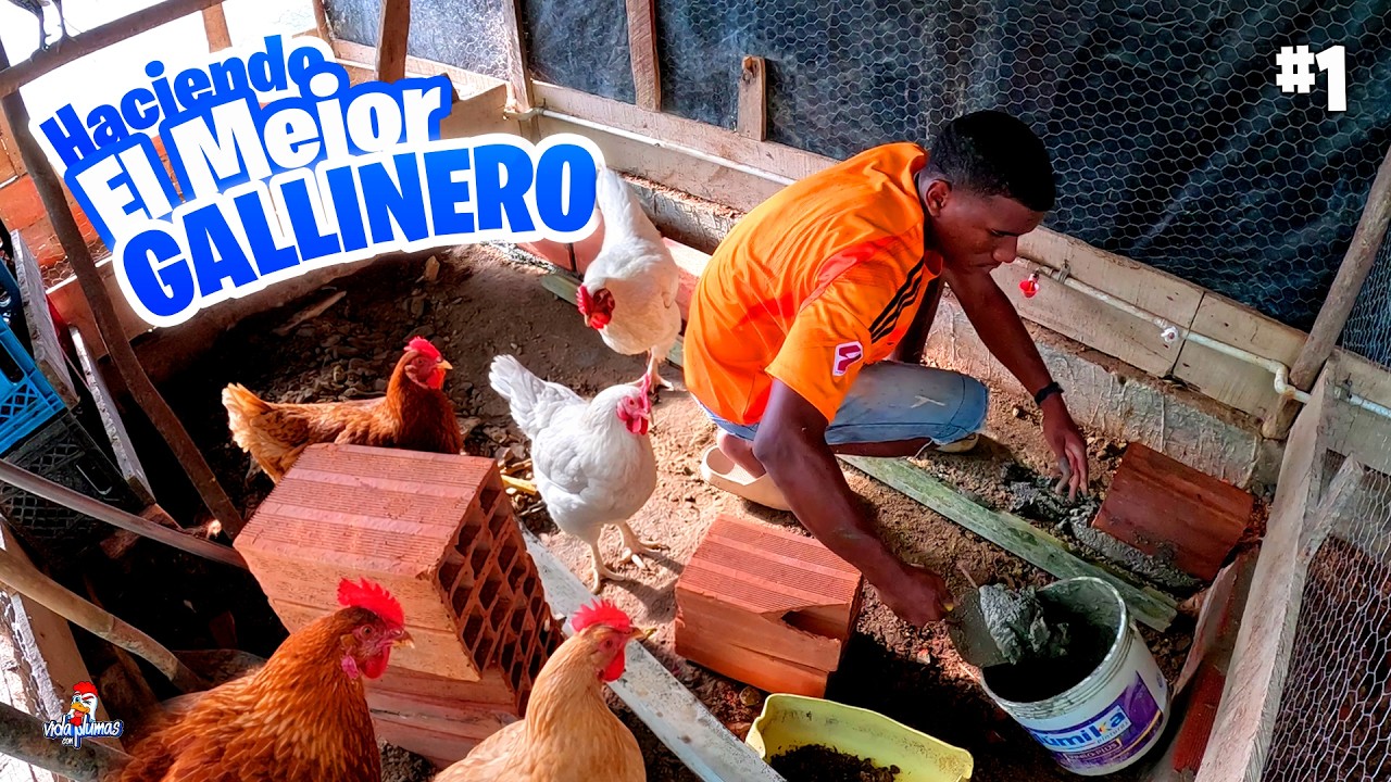 Remodelando mi Gallinero 🐔🔨 Parte 1