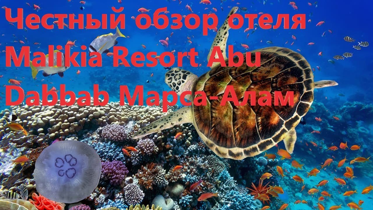 Марса Алам 2022
