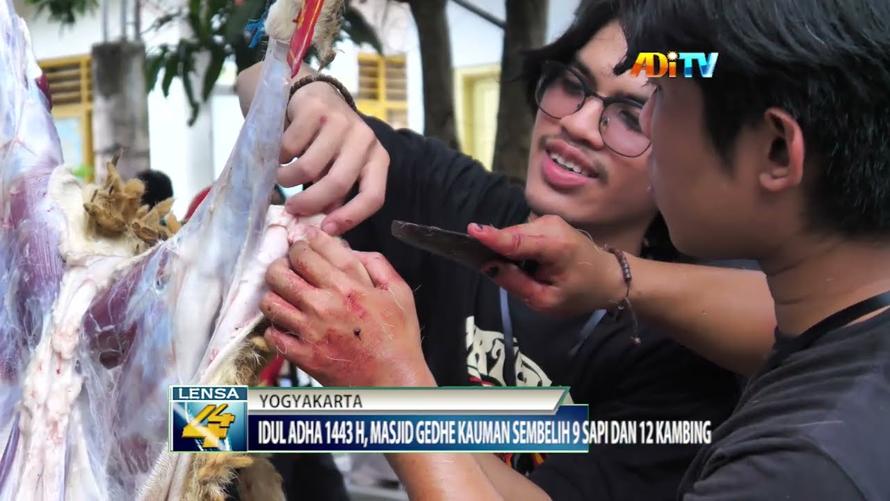 IDUL ADHA 1443 H, MASJID GEDHE KAUMAN SEMBELIH 9 SAPI DAN 12 KAMBING