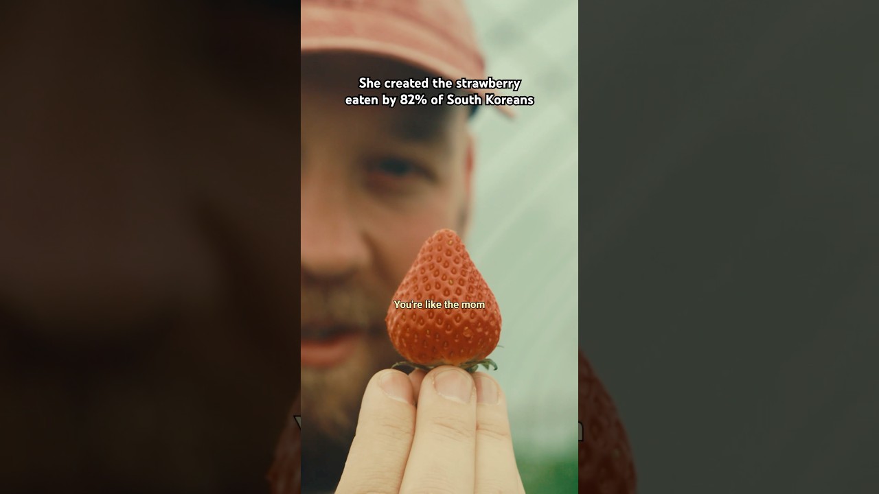 She&rsquo;s responsible for 82% of Korea&rsquo;s strawberries 🍓