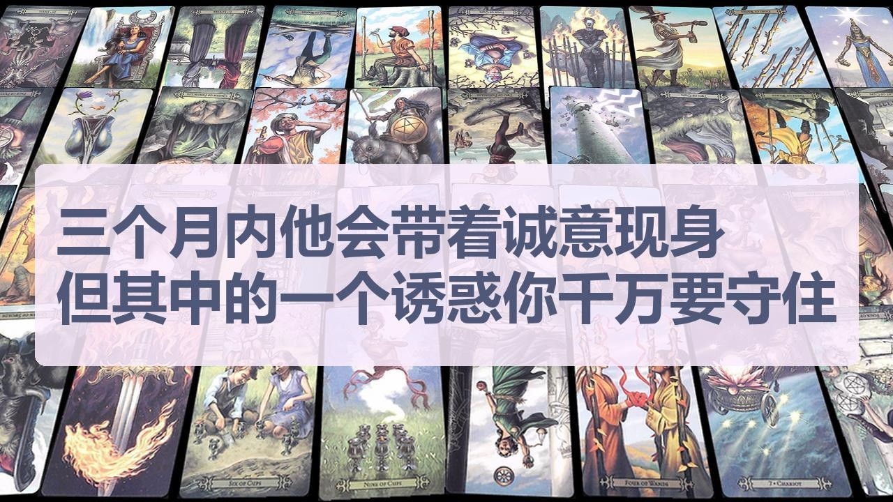 Tarot✨三个月内他会带着诚意现身，但其中的一个诱惑你千万要守住