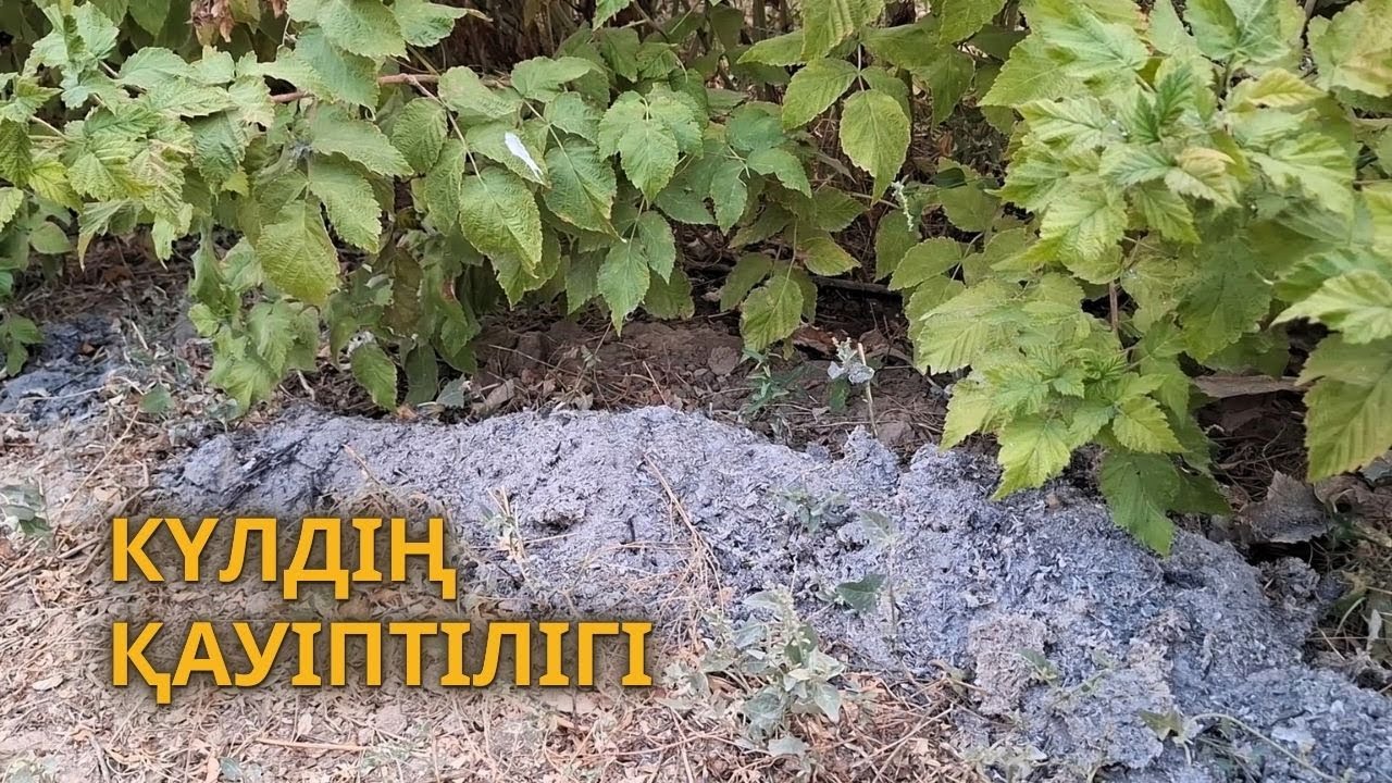 КҮЛДІ ТЫҢАЙТҚЫШқа ҚОЛДАНУ ЕРЕКШЕЛІГІ