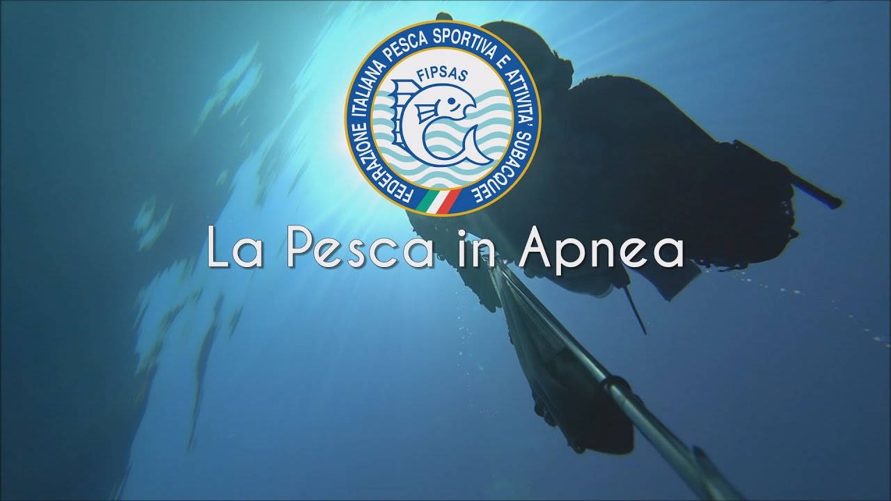 La pesca in Apnea - FIPSAS