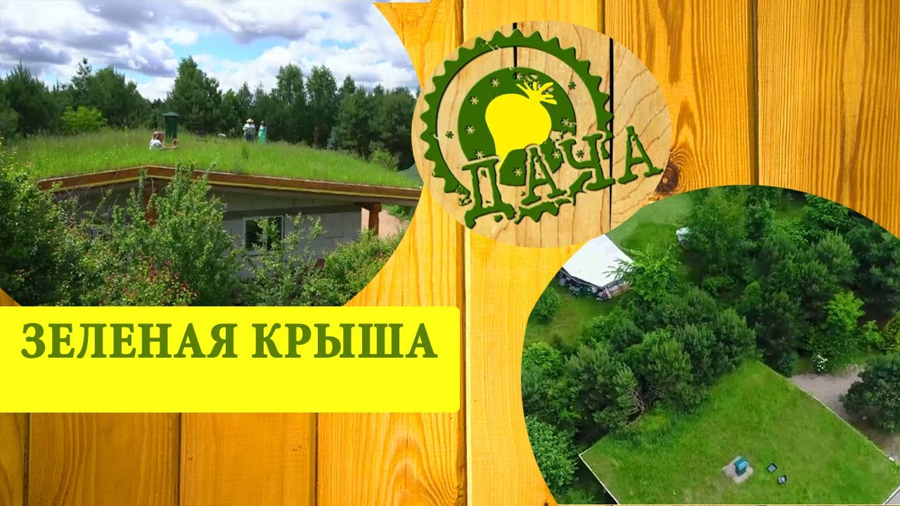Зелёная крыша