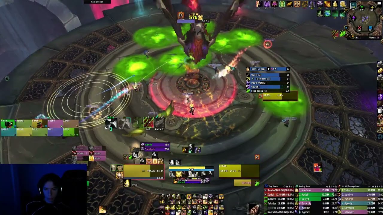 Protection Paladin Heroic Ji-Kun 10 Man