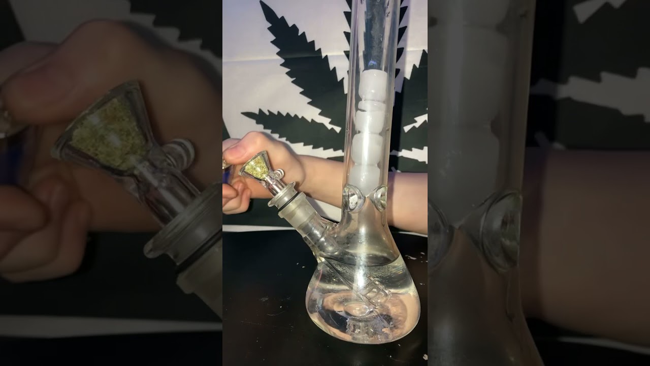 Half Gram Bong Rip