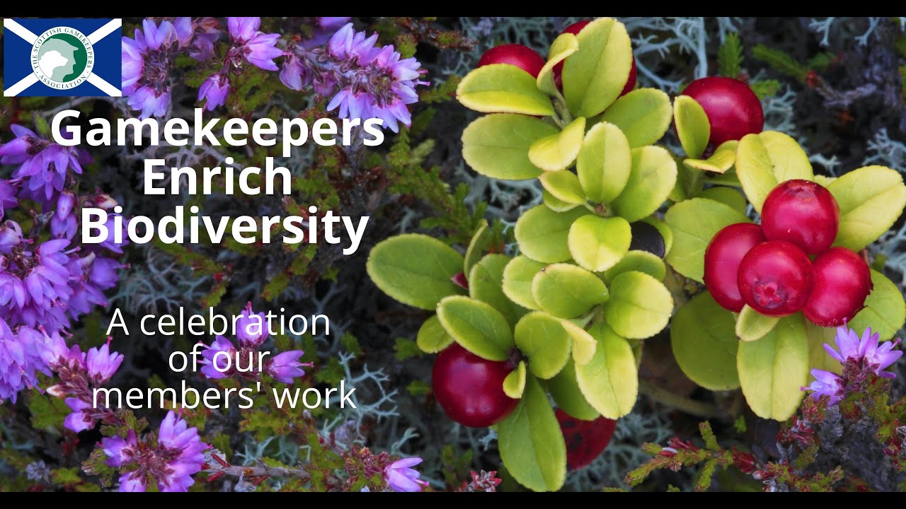 Scottish Gamekeepers enrich Biodiversity.