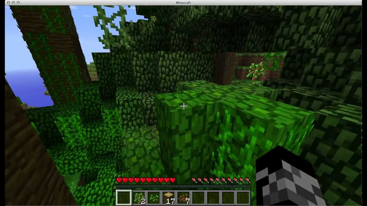 Minecraft LP (Lets Play) episode 1 