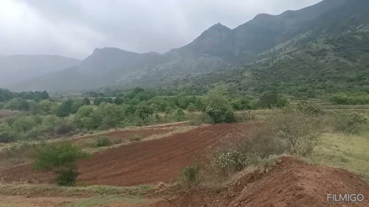 134 Acres agriculture land sale in theni district... pannaipuram near