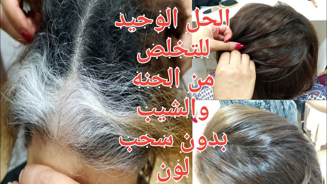 تخلصي من الشيب والحنه والالوان المتعدده في الشعر بخطوات بسيطه