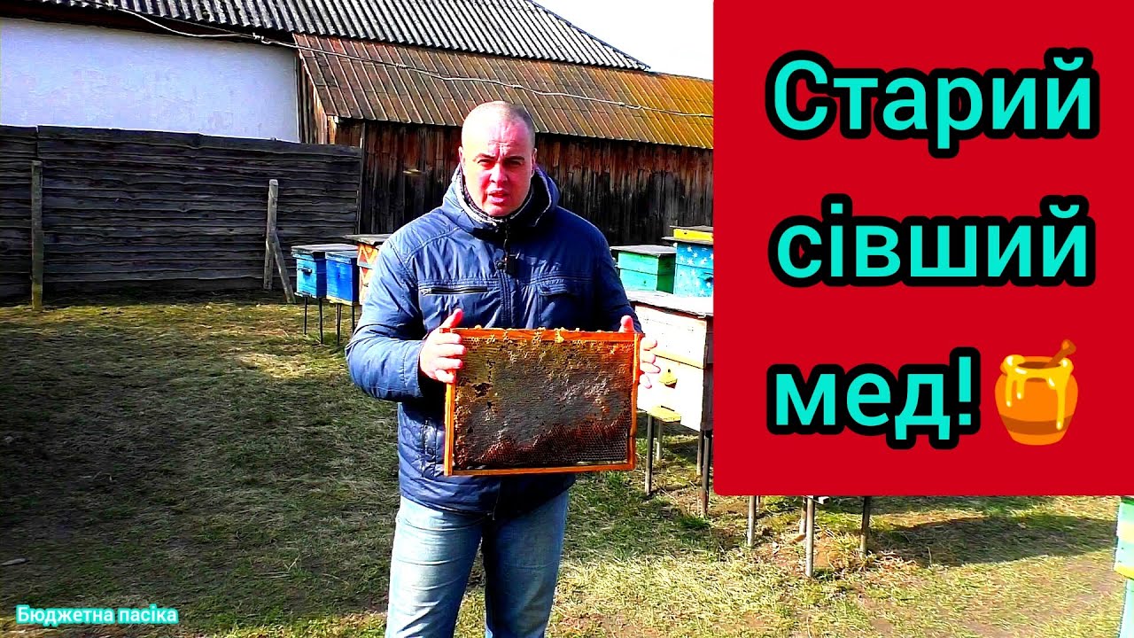 Що робити з рамками коли в них мед сів? Рамки з минулорічним медом легко можна використати повторно.