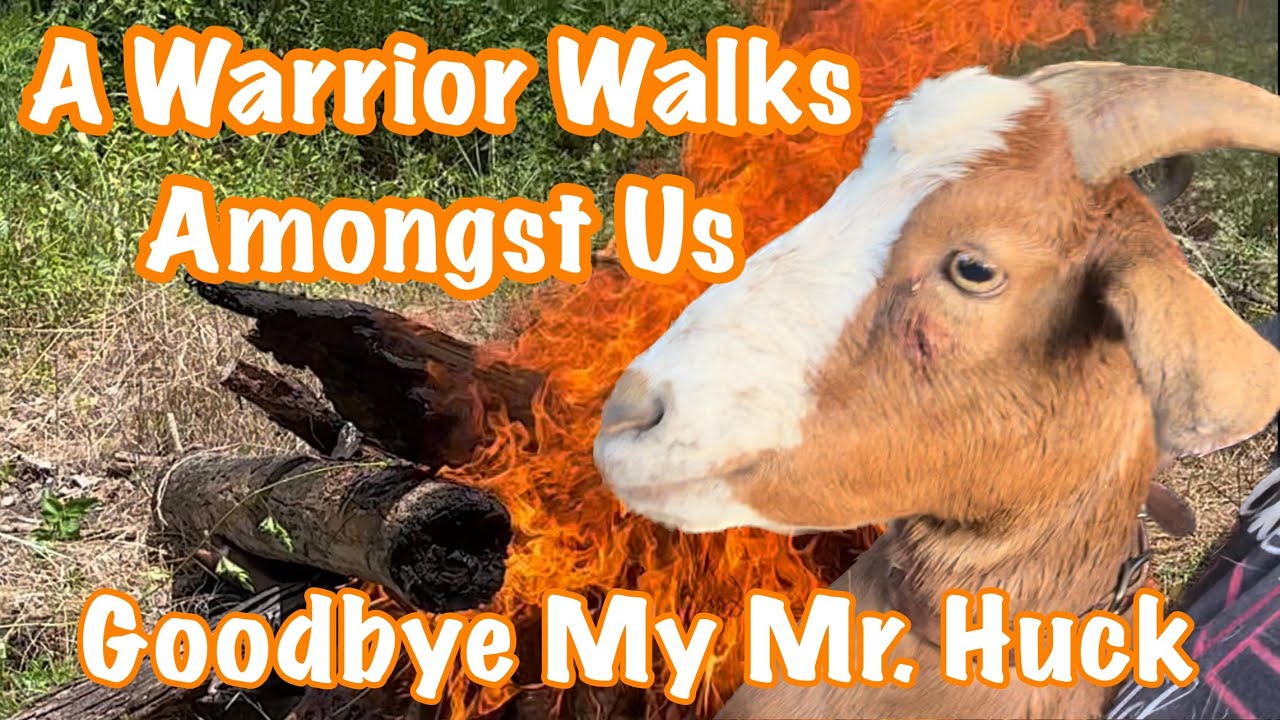 Mr. Huck: A Warrior Who Walked These Hills