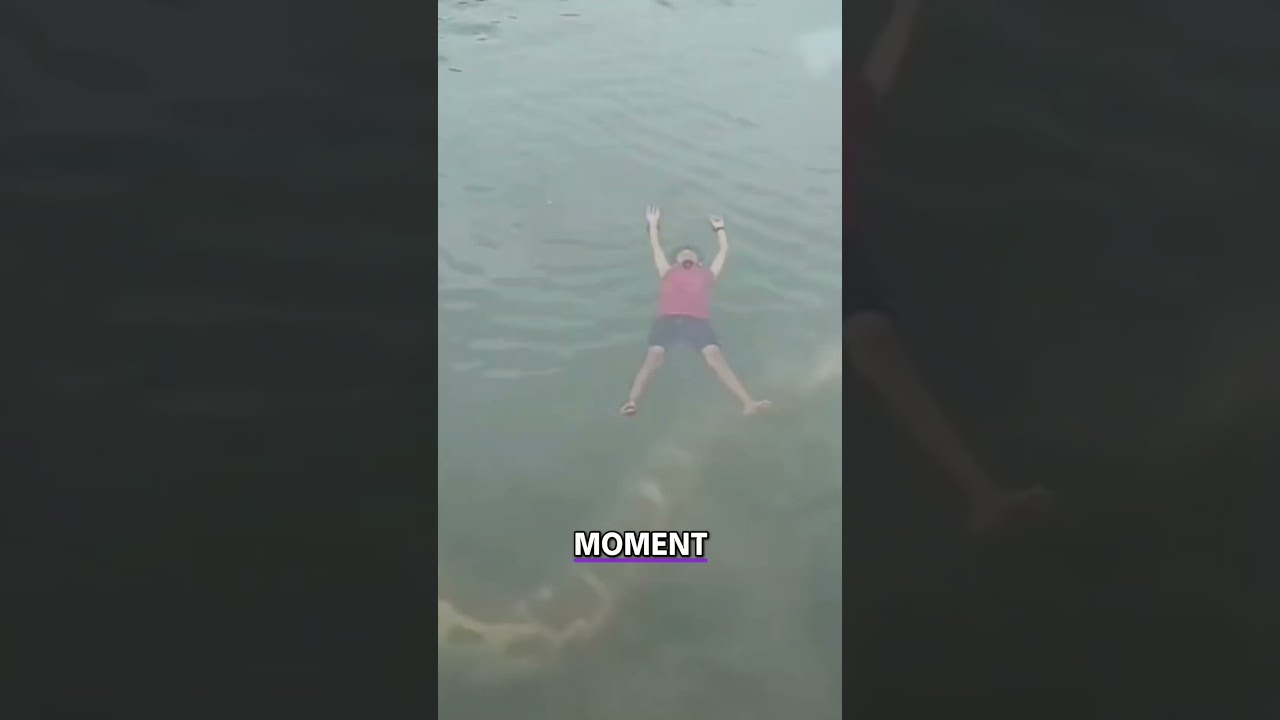 Гигантская анаконда или титанобоа?! Речная змея попала на камеру!