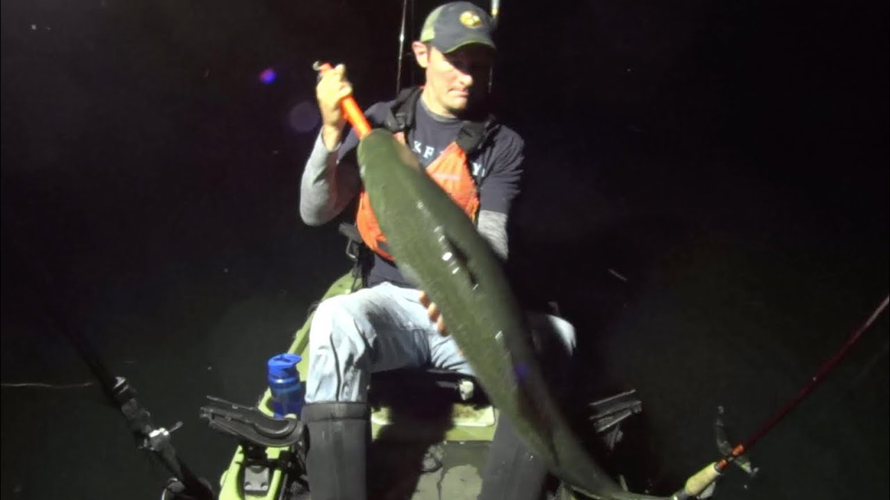 This Is Why You Should Fish At Night!!!