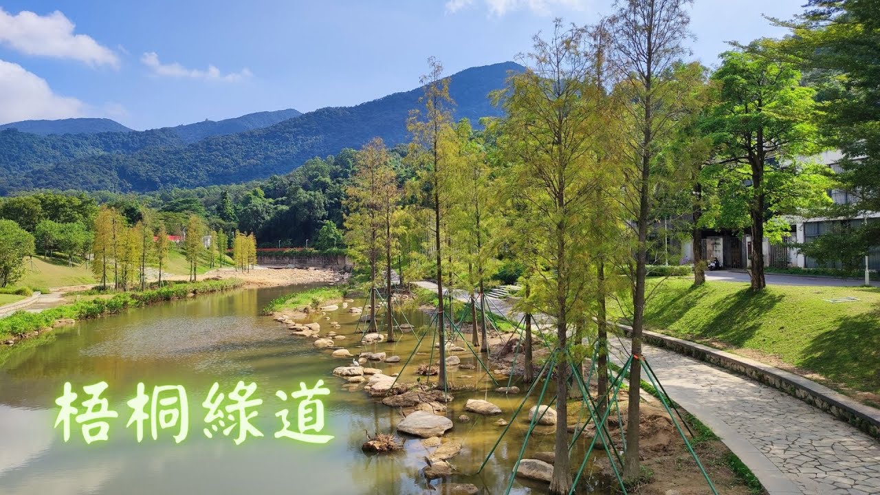 梧桐綠道/淘金山綠道單車遊 蓮塘口岸-梧桐山
