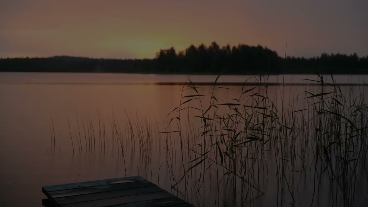 🔴 SOM DA BEIRA DE LAGO A NOITE SAPOS, GRILOS, P&Aacute;SSAROS NOTURNOS   BARULHOS DA NATUREZA PARA RELAXAR!