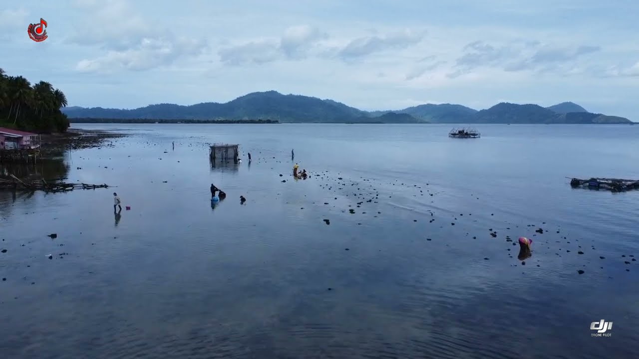 lagu bajau AZMAL - Kissah magkohang (djimini2)