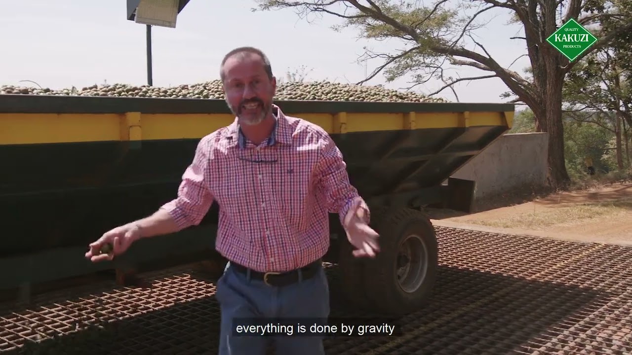 Inside Kakuzi: What Sustainable Agriculture Means to Us, Composting Macadamia Husks🌱♻️
