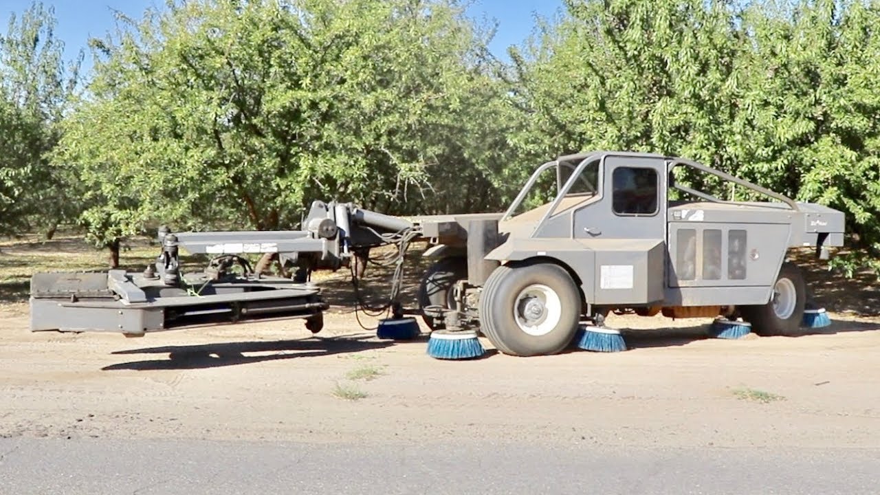 Harvesting Almonds 🥜 - THE TREE SHAKER
