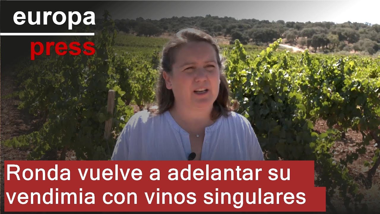 Ronda vuelve a adelantar su vendimia, marcada por sus variedades singulares de vinos tranquilos