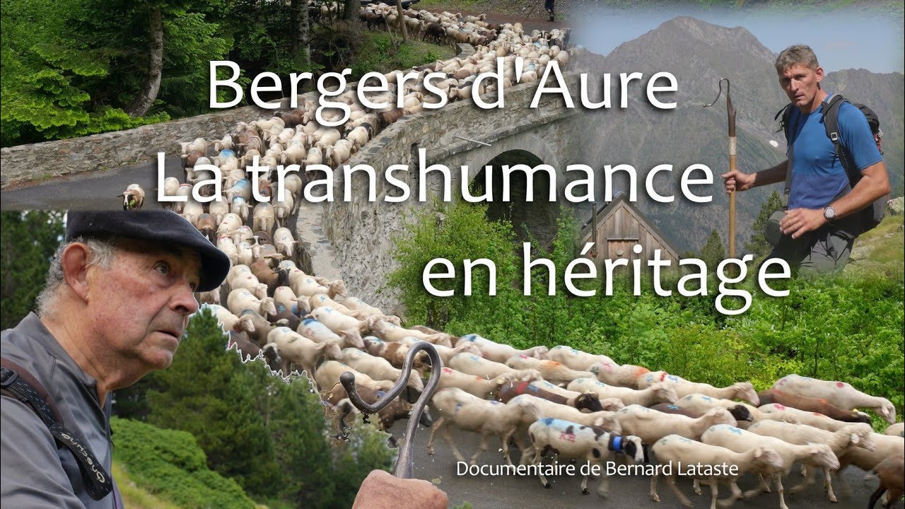 BERGERS D'AURE LA TRANSHUMANCE EN HERITAGE Bande annonce du documentaire