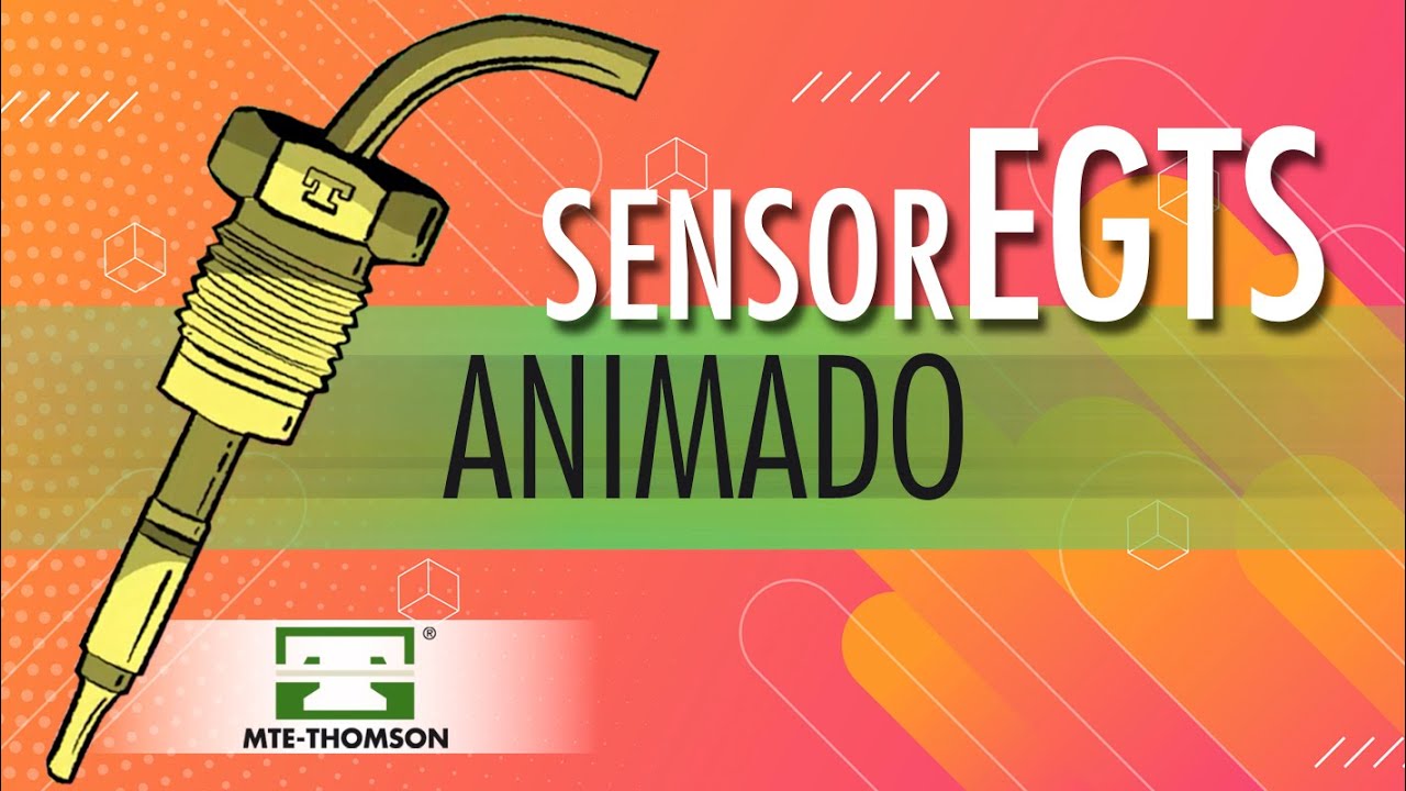 COMO FUNCIONA O SENSOR EGTS?
