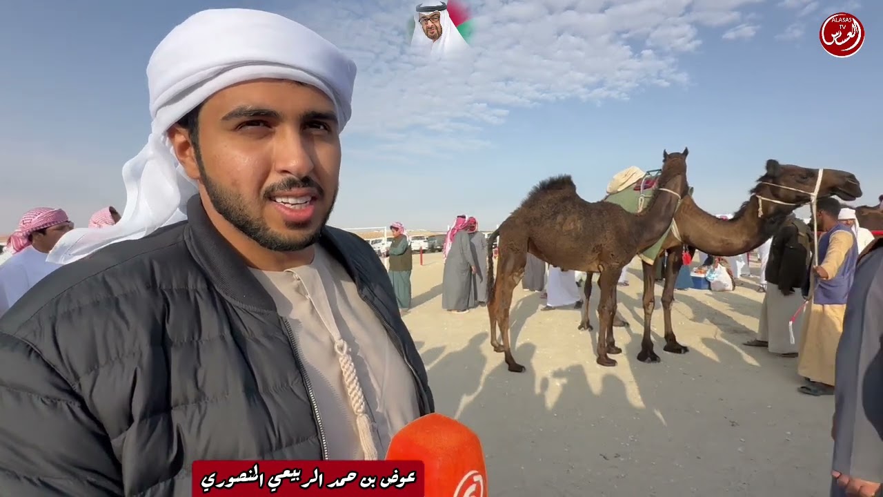 مهرجان الظفره 17اليوم السادس عشر دخول المفاريد مجاهيم ومحليات