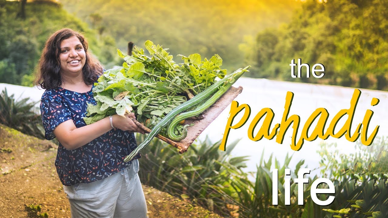 The Pahadi Life - Organic Restaurant & Motel, Uttarakhand | Traditional Food of Kumaon