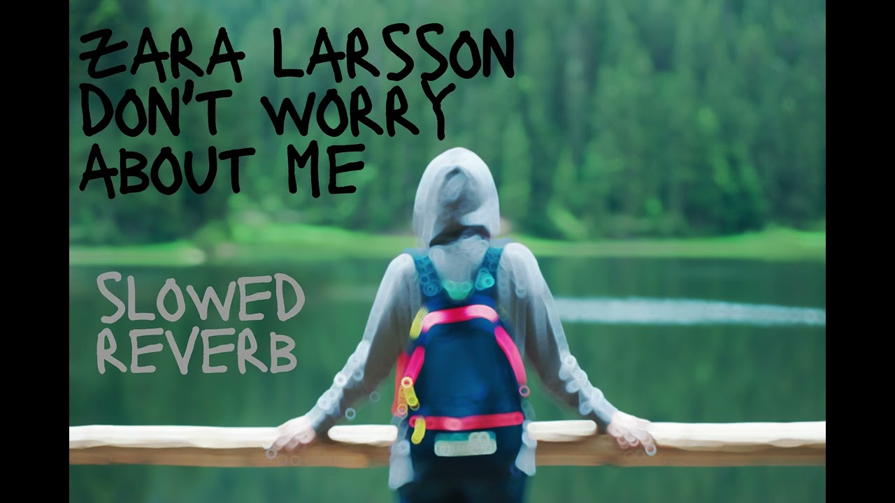 Zara Larsson - Don't Worry Bout Me {Slowed+Reverb}  The Loster #slowed #slowedandreverb