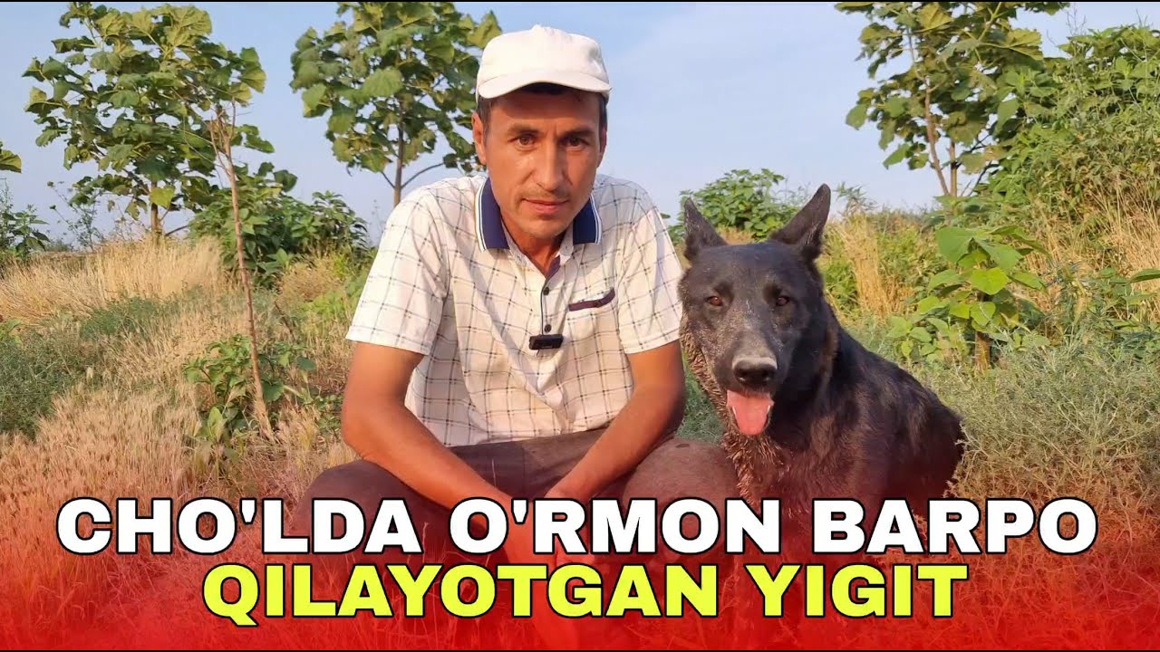 ЧЎЛДА ЎРМОН БАРПО ҚИЛАЁТГАН ЙИГИТ
