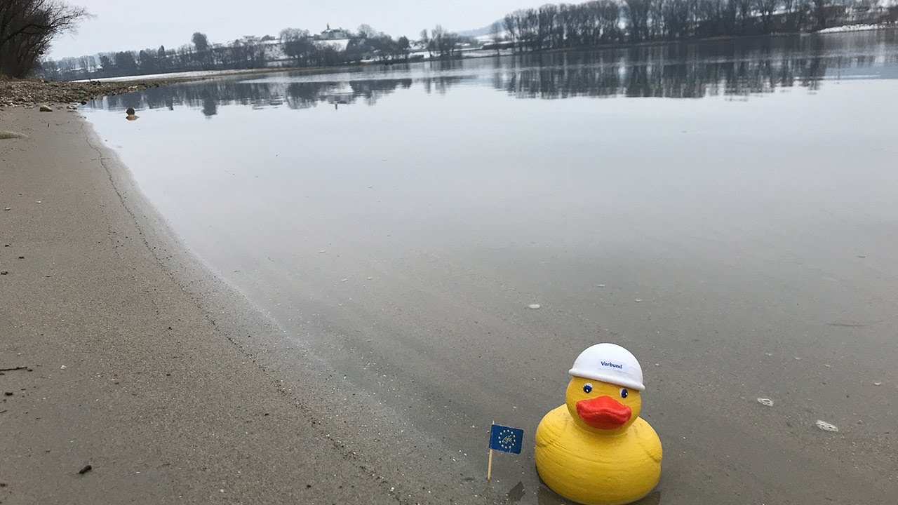 LIFE Netzwerk Donau Ybbser Scheibe - VERBUND