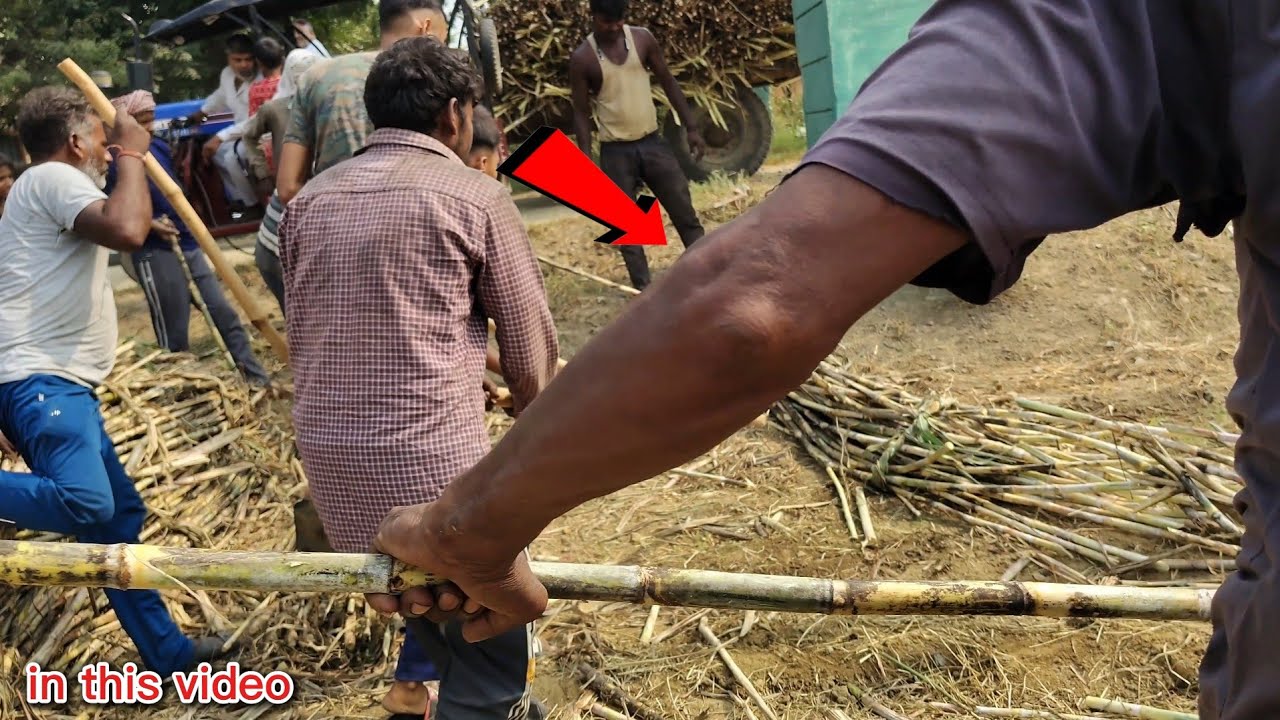 ⚠️ गुड़ की फैक्ट्री में निकला जहरीला साँप 🐍 | सब भागने लगे 😱